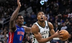 开云体育官方网站-雄鹿队再胜森林狼队，字母哥30+10全