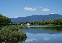 河呈青色，水豹牧车，伯爵到了