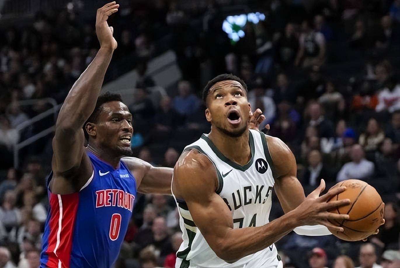 雄鹿队再胜森林狼队，字母哥30+10全