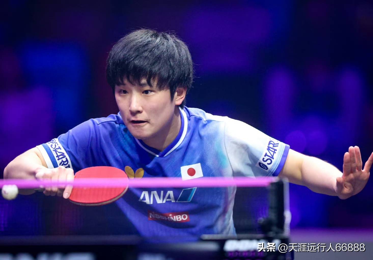 奥地利队横扫德国队，张本智和带队取胜的简单介绍